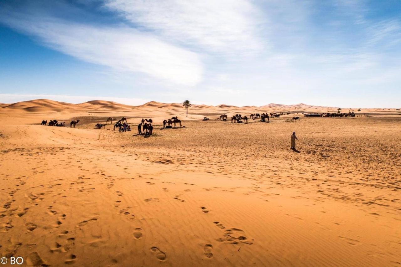 Merzouga Glamping Camp Eksteriør billede